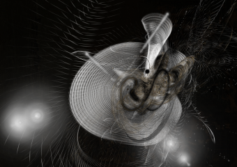 Image for 2 the N.2010