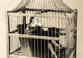 Image for Máquina o maravilloso