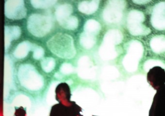 Image for The Space in Between REC Lanuí